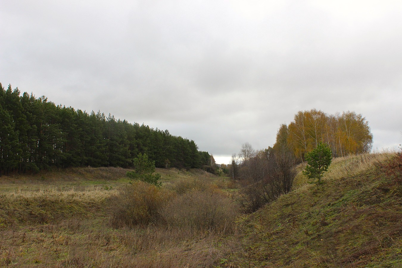 Кузебайгоп. 2015г.
