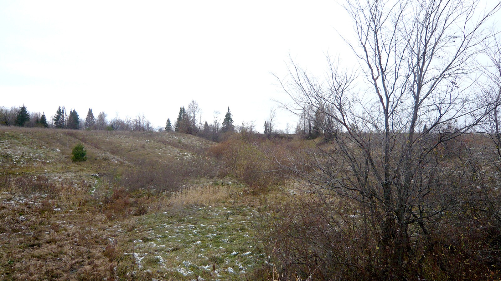 Лудгоп (Лудкусып). 2016г.