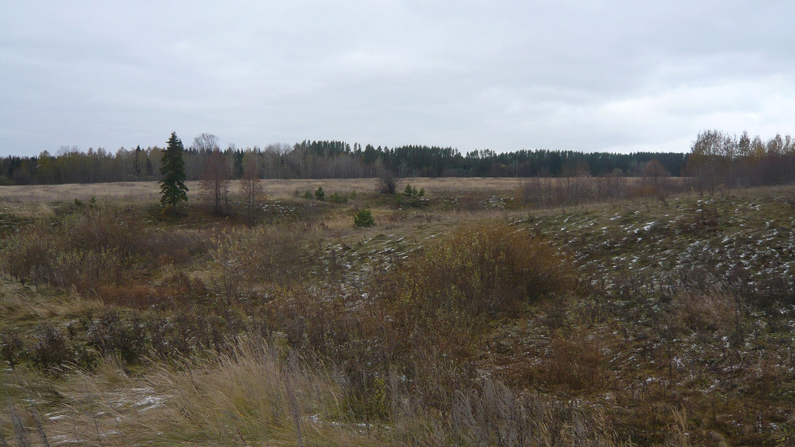 Лудгоп (Лудкусып). 2016г.