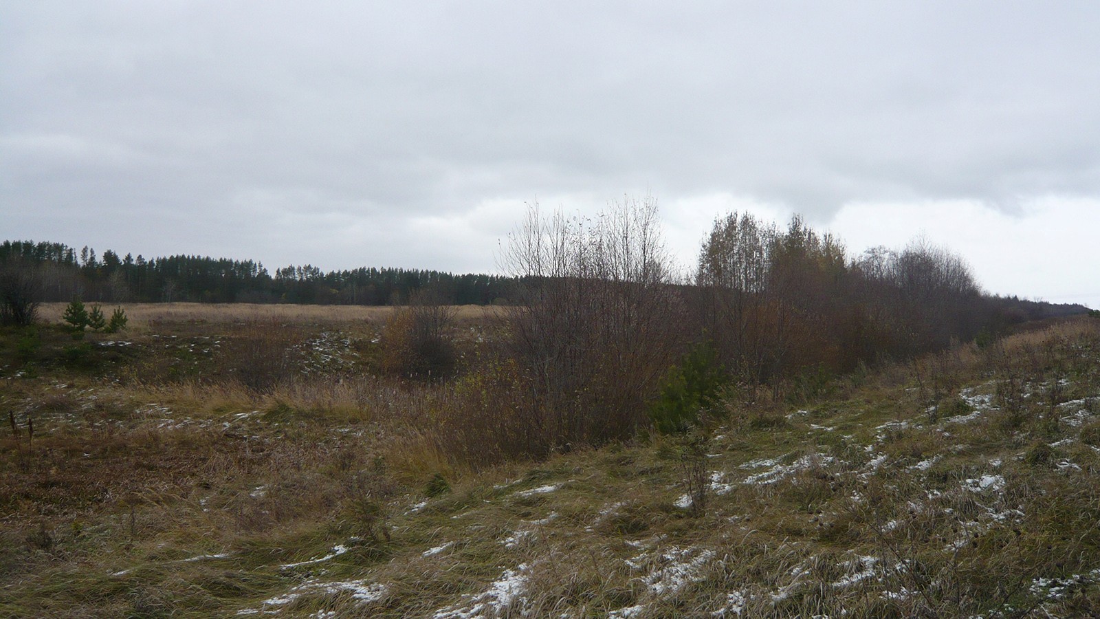 Лудгоп (Лудкусып). 2016г.