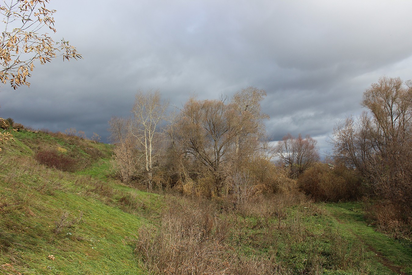 Ӟамйсад. 2015г.